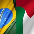 دراسة نقدية لواقع الجالية الفلسطينية ومؤسساتها في البرازيل