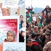 فلسطينيو لبنان: التحركات الفلسطينية ضد الأونروا في لبنان - رأفت مرّة