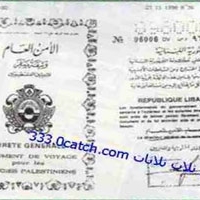 الملف: الفلسطينيون في لبنان لم يحصلوا على حق التنقل 