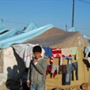 الأمم المتحدة: اللاجئون الفلسطينيون في سوريا "على حافة الهاوية"